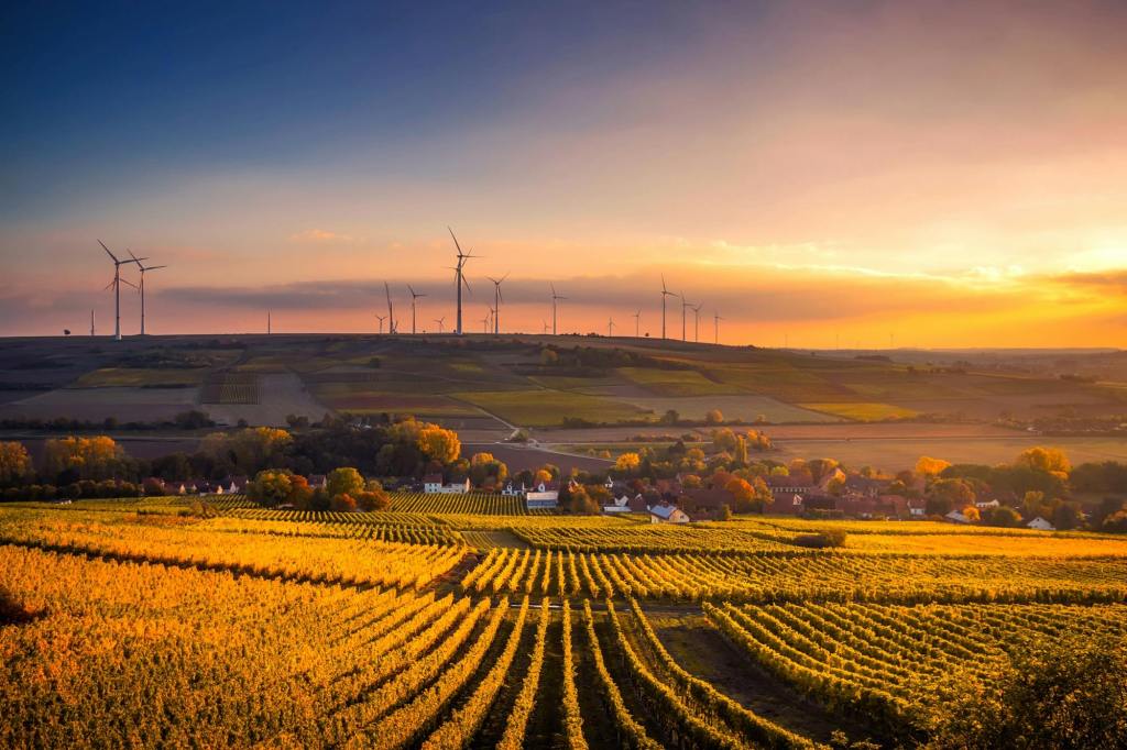 Agricultural field at sunset with wind turbines symbolizing KUN Services' commitment to sustainability